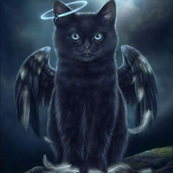 Meet your Posher, Marlena - Picture 1 of 4